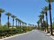 A quiet street is lined with palm trees and manicured greenery, providing a scenic entrance at 4814 Regalo Bello St, Las Vegas, NV 89135