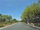 Street view of a well-maintained road lined with mature trees and lush landscaping in a residential area at 4814 Regalo Bello St, Las Vegas, NV 89135