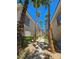 A walkway shaded by mature palm trees creates a serene and inviting outdoor space at 7135 S Durango Dr # 106, Las Vegas, NV 89113