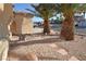 Close up front yard view with mature palm trees and desert landscaping at 851 Brahma Ln, Henderson, NV 89002