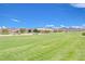 Expansive green space with a playground area, perfect for outdoor activities and community gatherings at 1011 Pecos River Ave, Henderson, NV 89002