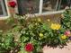 The image captures a flower bed with various colors, and lush foliage enhancing the home's curb appeal at 3877 Platis Cir, Las Vegas, NV 89103