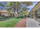 Backyard view with patio seating area, well-kept grass, and mature trees at 7909 Canoe Ln, Las Vegas, NV 89145