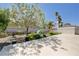 Landscaped backyard featuring lush greenery, palm trees, and a storage shed at 812 Bitterroot St, Henderson, NV 89002