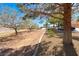 Well-maintained landscape view featuring mature trees and rock ground cover at 105 Lighthouse Dr # 105, Boulder City, NV 89005