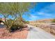 Picturesque view of a community walkway, mature trees, and desert landscape at 105 Lighthouse Dr # 105, Boulder City, NV 89005