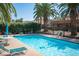 Swimming pool featuring lounge chairs and tables, surrounded by palm trees, in a fenced area at 1843 Mimosa Ct, Henderson, NV 89014