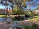 Picturesque pond view with lush greenery and trees in a serene community setting at 4963 Crooked Stick Way, Las Vegas, NV 89113