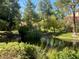 Scenic view of a tranquil pond surrounded by vibrant greenery and mature trees at 4963 Crooked Stick Way, Las Vegas, NV 89113