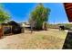 Large backyard with trees, providing shade for pets at 744 Mcknight St, Las Vegas, NV 89101