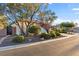 Landscaped front yard with mature trees and shrubs, complementing the home's exterior at 8623 Kennedy Heights Ct, Las Vegas, NV 89131