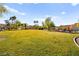 Lush green community park with picnic benches, palm trees, and ample space for recreational activities at 262 Cielito Lindo St, Henderson, NV 89012