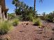 Landscaped backyard with desert plants and gravel ground cover at 3028 Ripon Dr, Las Vegas, NV 89134