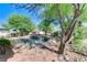 Backyard pool, mature trees, and well-manicured landscaping create a resort-like oasis at 5913 Audria Falls Ave, Las Vegas, NV 89131