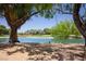 Picturesque pond with lush greenery and a golf course in the background, framed by mature trees at 5935 Saddle Horse Ave, Las Vegas, NV 89122