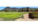 Open green space with mature trees and well-maintained grass in a community park at 636 Pacific Cascades Dr, Henderson, NV 89012