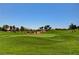 Scenic golf course view with lush green fairways, mature trees, and clear blue skies, offering a serene and inviting atmosphere at 832 Gallery Course Dr, Las Vegas, NV 89148