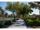 Picturesque street view with mature trees, manicured landscaping, and wide sidewalks at 832 Gallery Course Dr, Las Vegas, NV 89148