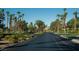 Straight road with a landscaped median, mature trees, and well-maintained sidewalks at 832 Gallery Course Dr, Las Vegas, NV 89148