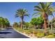 Scenic street view lined with mature palm trees and lush landscaping at 832 Gallery Course Dr, Las Vegas, NV 89148