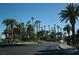 Wide street lined with tall palm trees and lush green landscaping at 832 Gallery Course Dr, Las Vegas, NV 89148