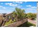 Spacious backyard with a brick wall and lush green trees at 11901 Luna Del Mar Ln, Las Vegas, NV 89138