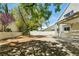 Wide backyard featuring trees for shade and a low wall for privacy at 2105 Madagascar Ln, Las Vegas, NV 89117
