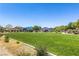The community park offers green grass, covered picnic spaces, and playground equipment at 3773 Blake Canyon Dr, North Las Vegas, NV 89032