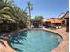 Beautiful backyard featuring a sparkling pool, mature palm trees, and a covered patio with lounge chairs at 5929 Gentle Creek Ln, North Las Vegas, NV 89031