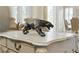Striking panther statue displayed on a table in a beautifully decorated home at 8215 Crow Valley Ln, Las Vegas, NV 89113