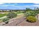 A backyard showcasing a beautifully landscaped yard and a view of a golf course at 10700 Button Willow Dr, Las Vegas, NV 89134