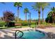 A community hot tub is surrounded by lounge chairs, benches, and palm trees at 2050 W Warm Springs Rd # 4512, Henderson, NV 89014