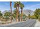 Street view lined with palm trees and leading to mountain views at 9912 Woodhouse Dr, Las Vegas, NV 89134