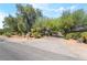 Long driveway lined with mature trees and landscaping, providing privacy at 10445 Schirlls St, Las Vegas, NV 89141