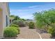 Backyard with desert landscaping, wrought iron fencing, mature trees and mountain views at 2548 Leighton Ave, Henderson, NV 89052