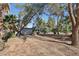 Expansive backyard with mature trees offering shade and privacy on a sunny day at 55 Siddall Ave, Las Vegas, NV 89183
