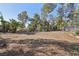 Expansive backyard featuring desert landscaping with several trees and shrubs at 55 Siddall Ave, Las Vegas, NV 89183