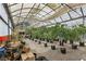 Interior view of the greenhouse showing rows of potted trees and vegetation at 55 Siddall Ave, Las Vegas, NV 89183