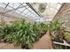 Inside greenhouse showcasing potted plants and a pebble floor for drainage at 55 Siddall Ave, Las Vegas, NV 89183