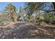 Large vacant lot with privacy trees and a fence at 55 Siddall Ave, Las Vegas, NV 89183