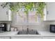 Bright kitchen sink with white cabinets and hanging plants at 5550 Ramirez St, North Las Vegas, NV 89031