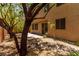 A well-kept backyard showing lush trees, a small patio, and decorative rock landscaping at 10584 Peach Creek St, Las Vegas, NV 89179