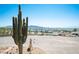Spacious lot with desert plants and skyline view of Las Vegas at 1106 E Athens Ave, Henderson, NV 89015