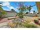 Backyard with green grass and foliage and a concrete patio at 1804 David Ave, Las Vegas, NV 89101
