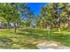 Lush greenbelt area with mature trees and vibrant green grass, perfect for outdoor recreation at 1844 Winners Cup Drive, Las Vegas, NV 89117