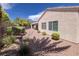 Backyard view shows desert landscaping, palms, and privacy bushes at 2131 Waterton Rivers Dr, Henderson, NV 89044