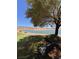 Picturesque backyard with a lake view and mature tree providing shade for peaceful outdoor seating at 2695 Olivia Heights Ave, Henderson, NV 89052