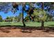 Scenic golf course view with mature trees and lush green fairways on a sunny day at 2851 Queens Courtyard Dr, Las Vegas, NV 89109