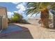 Spacious backyard featuring a concrete patio, desert landscaping, block wall, and mature palm tree at 5049 Running Rapids Ave, Las Vegas, NV 89130