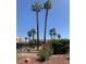 Picturesque exterior view with tall palm trees and colorful flowering bushes for added curb appeal at 6441 Brushwood Ln, Las Vegas, NV 89107